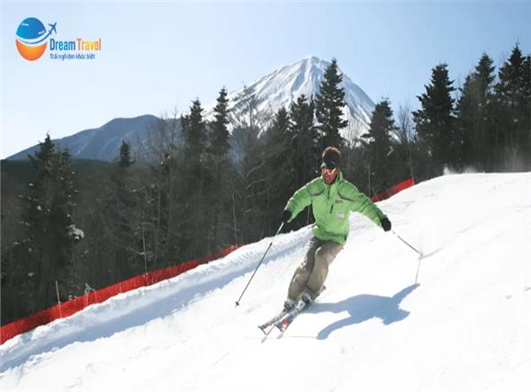 Tour Nhật Bản Hành Trình Vàng Đón Năm Mới 2026